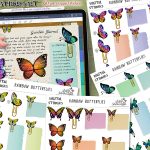 rainbow butterfly digital stickers, butterfly digital stickers, digital stickers, digital stickers sheet, digital stickers goodnotes, digital graphique, lesley smitheringale