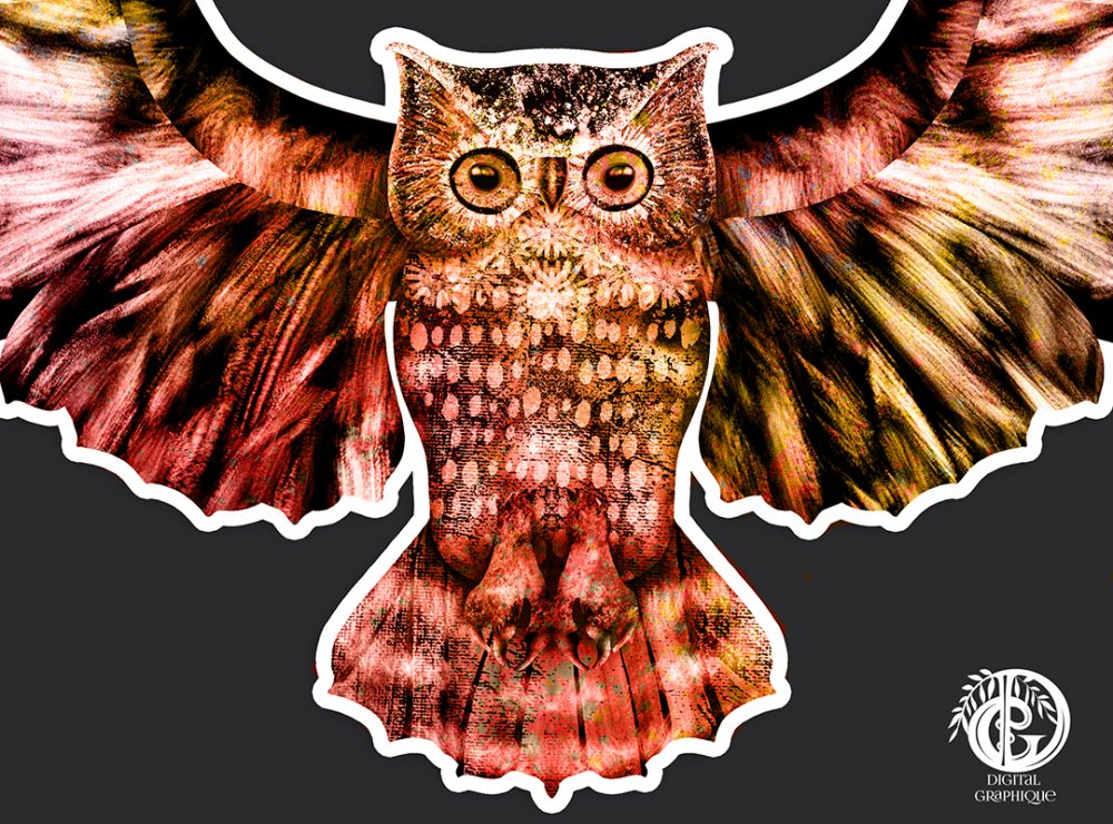 Detail of Owl White Edge Sticker - Autumn