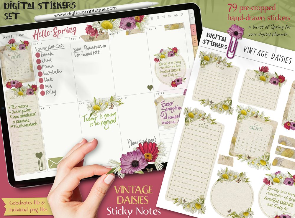 spring digital stickers for goodnotes, spring flowers digital stickers, spring sticker sheet, daisies stickers, goodnotes stickers, planner stickers, digital stickers, stickers, digital graphique, lesley smitheringale