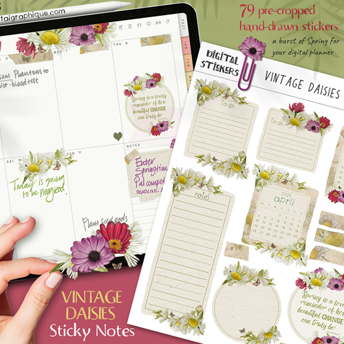 spring digital stickers for goodnotes, spring flowers digital stickers, spring sticker sheet, daisies stickers, goodnotes stickers, planner stickers, digital stickers, stickers, digital graphique, lesley smitheringale